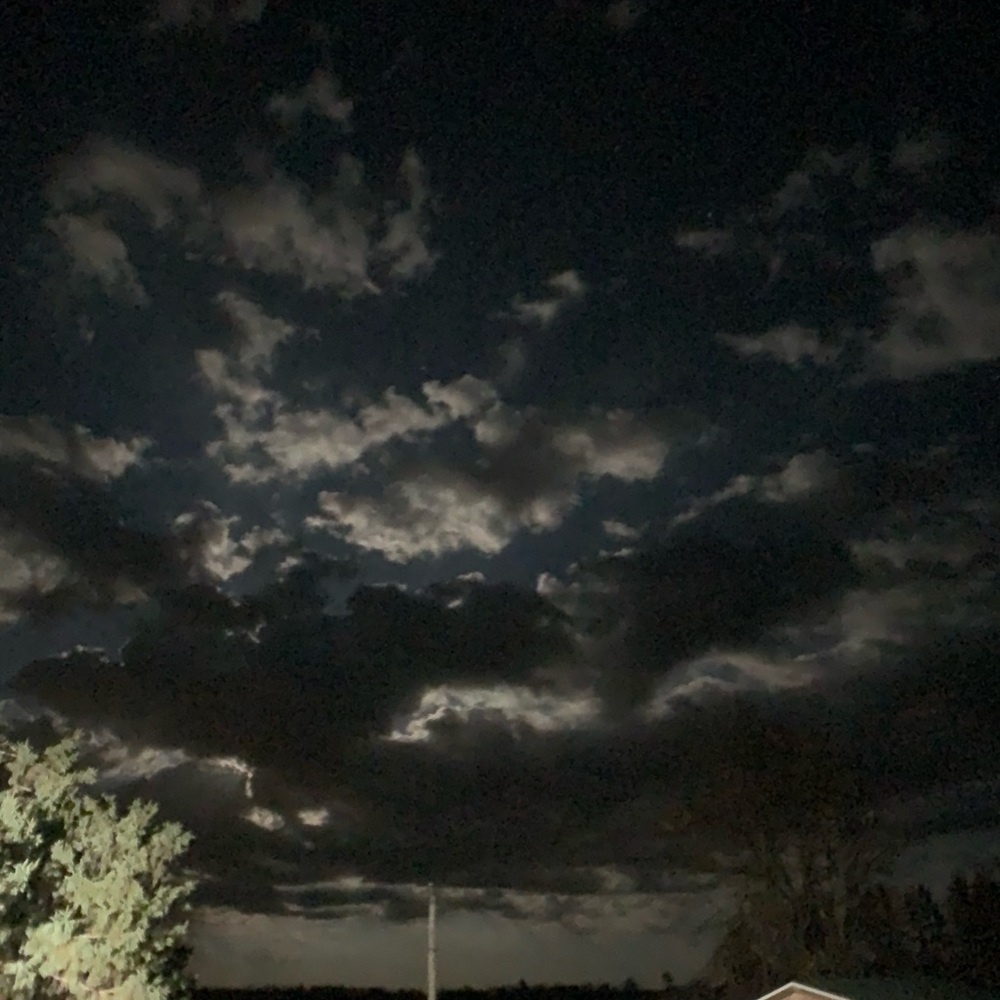 Meet your Posher, Haylie